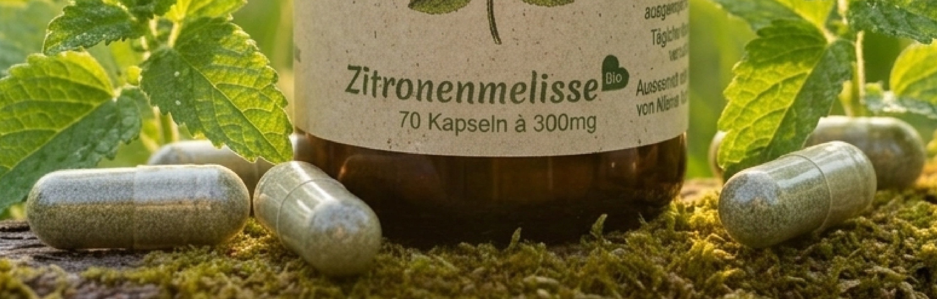 Bio Melisse Kapseln Erfahrungen richtig einordnen