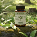 Bio Bärlauch Kapseln, Vegan & Natürlich, 70 Stück (Allium ursinum)
