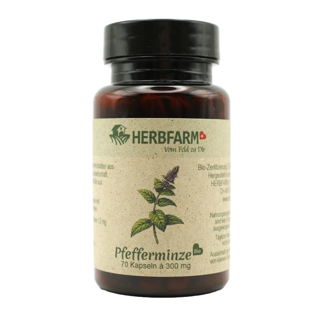 Pfefferminze Kapseldose