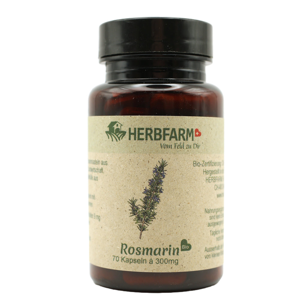 Rosmarin Kapseldose